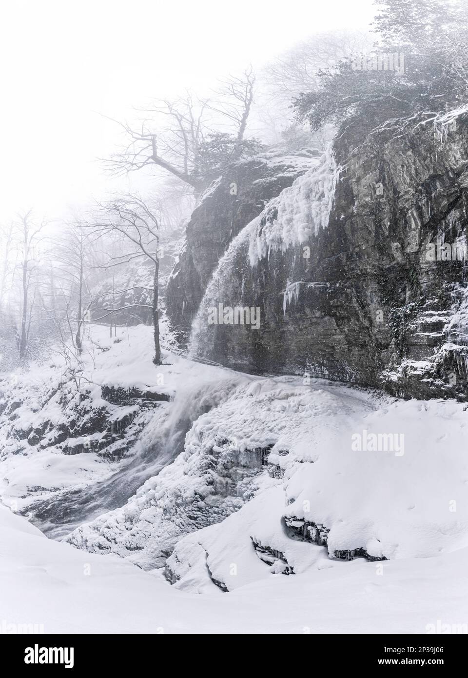 Misty winter mountain landscape with frozen waterfall and running water ...