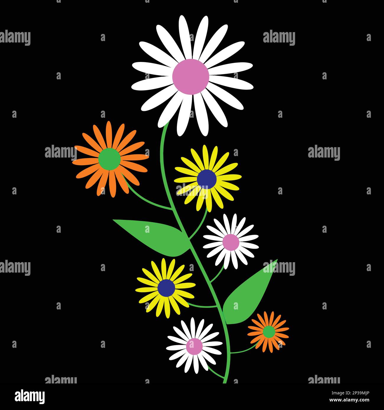 Colorful daisies flowers on the black background. Vector illustration ...