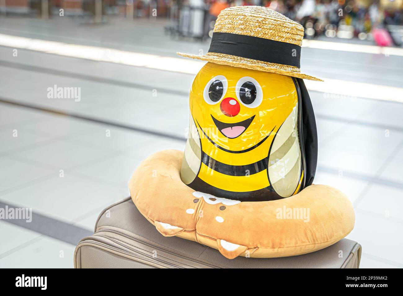 Funny airplane pillow 2025