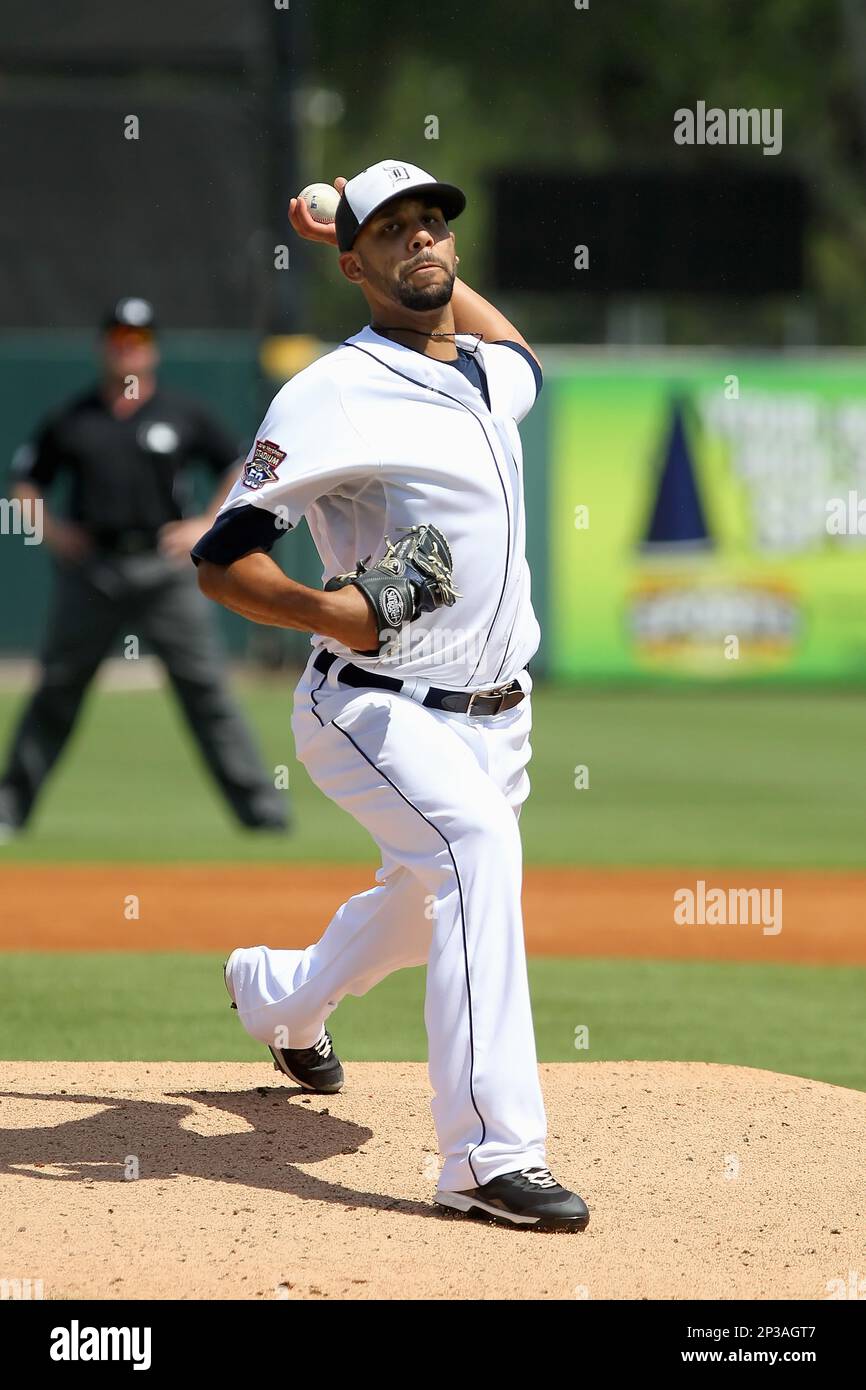 21 MAR 2015 David Price of the Tigers during the spring training