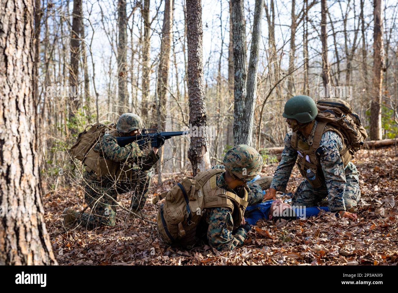 Enemy combatant hi-res stock photography and images - Alamy