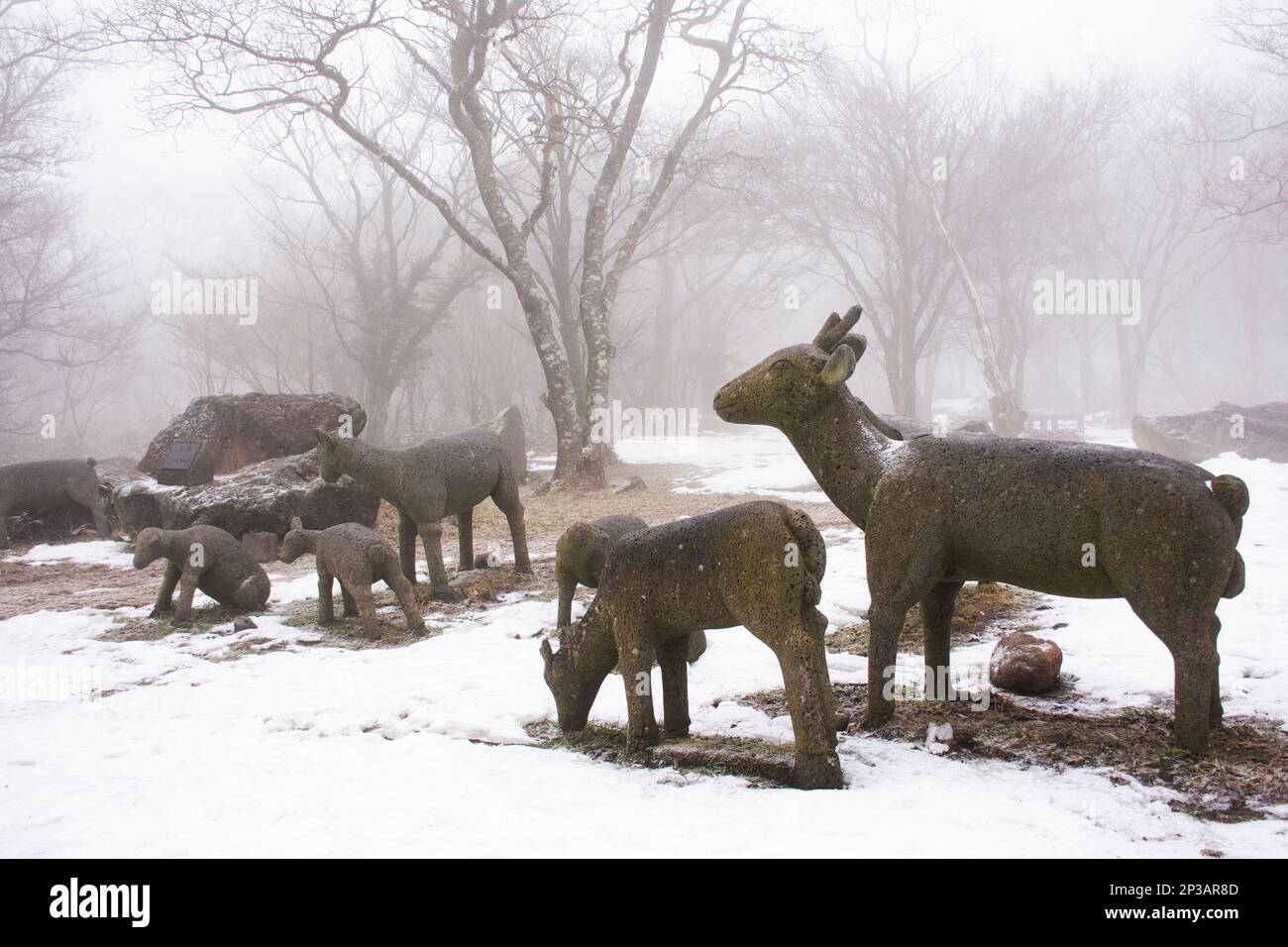 Deers statue and snow falling in forest on Hanla Mountain volcano or Mount Halla in Hallasan National Park for korean people travelers travel visit at Stock Photo