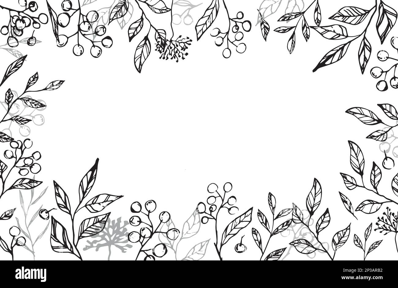 Floral backgrounds with hand drawn flowers and plants. Monochrome ...