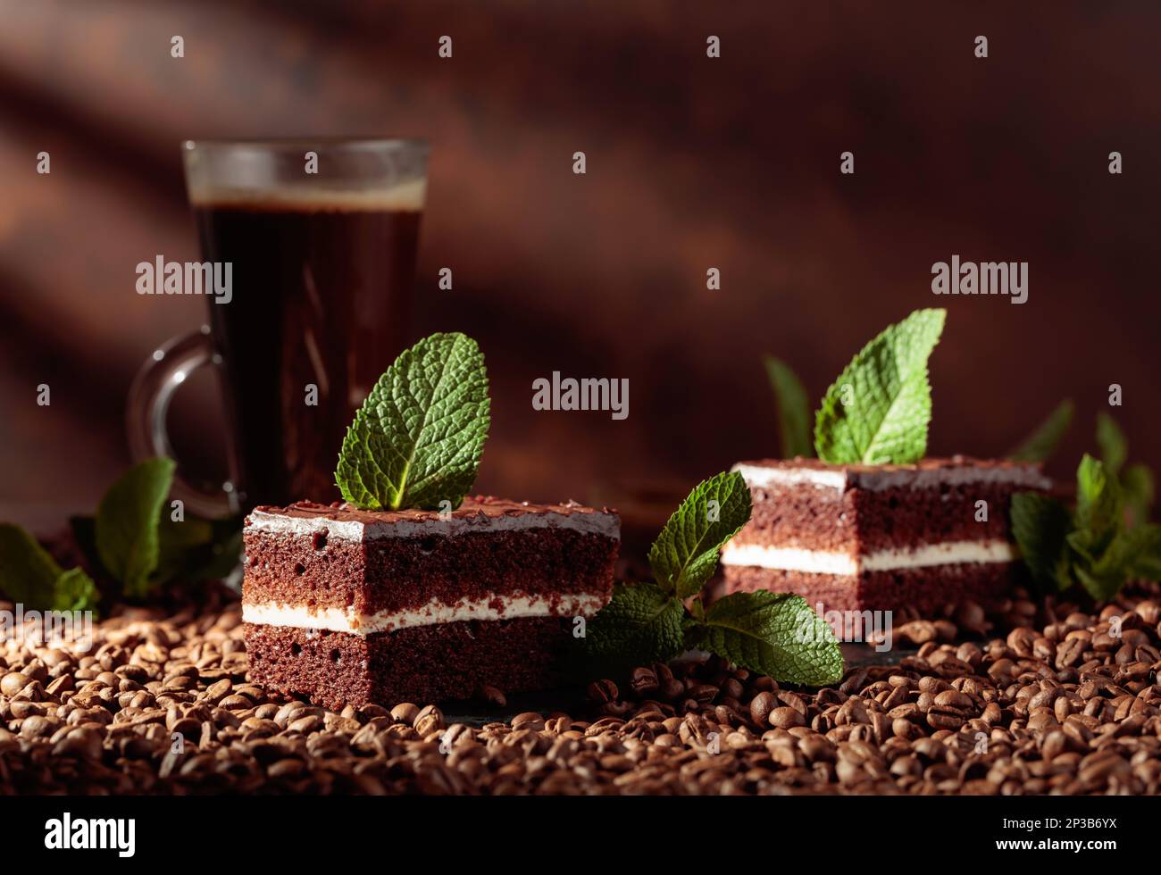 https://c8.alamy.com/comp/2P3B6YX/chocolate-cake-garnished-with-mint-on-a-table-with-coffee-beans-2P3B6YX.jpg