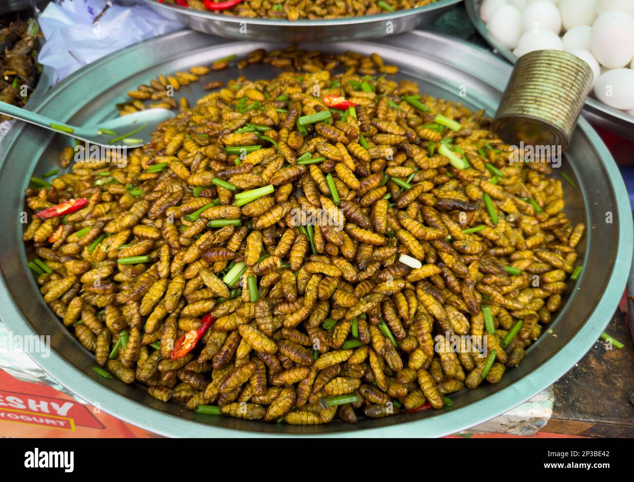 Sauteed silkworm larvae on sale at Skun Insect Market in Cambodia. Stock Photo