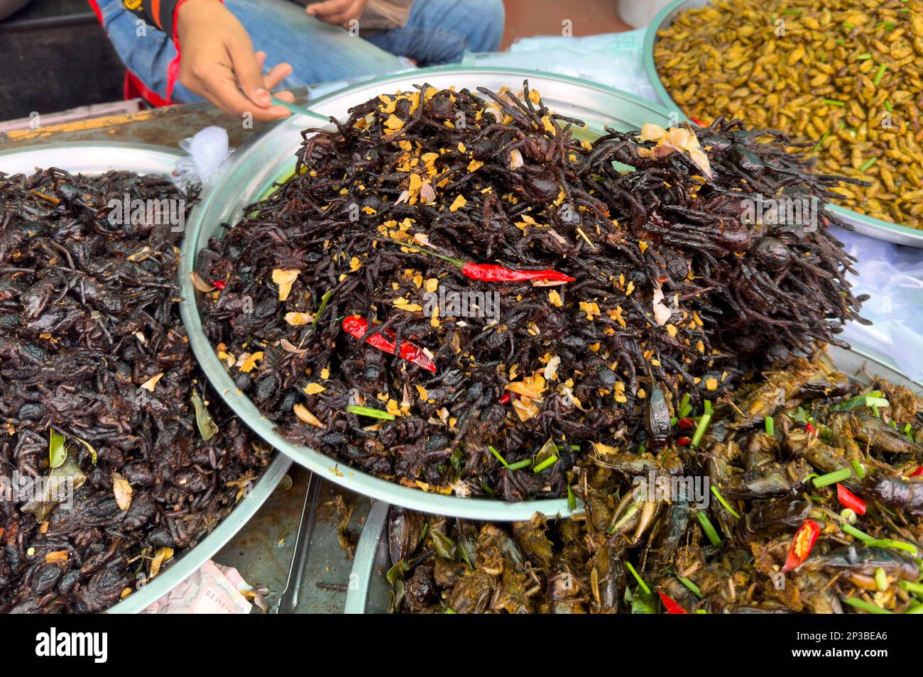 A large bowl of sauteed tarantula spiders on sale at Skun Insect Market in Cambodia. Stock Photo