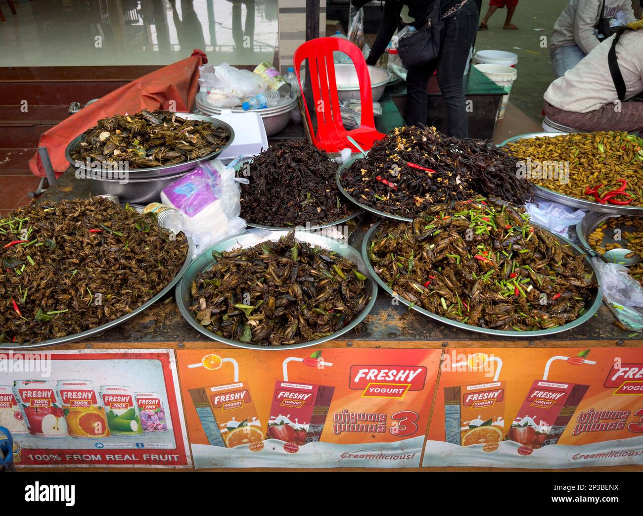 Large bowls of sauteed grasshoppers, spiders, silkworm larvae and other insects on sale at Skun Insect Market in Cambodia. Stock Photo