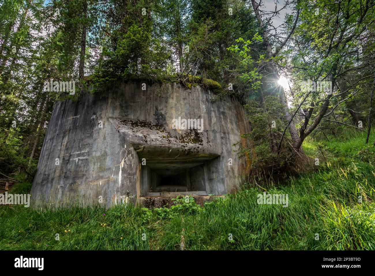 Abandoned, destoyed concrete bunker with embrasure in summer forest.Entrance to the bunker. Dolomites, Italy Stock Photo