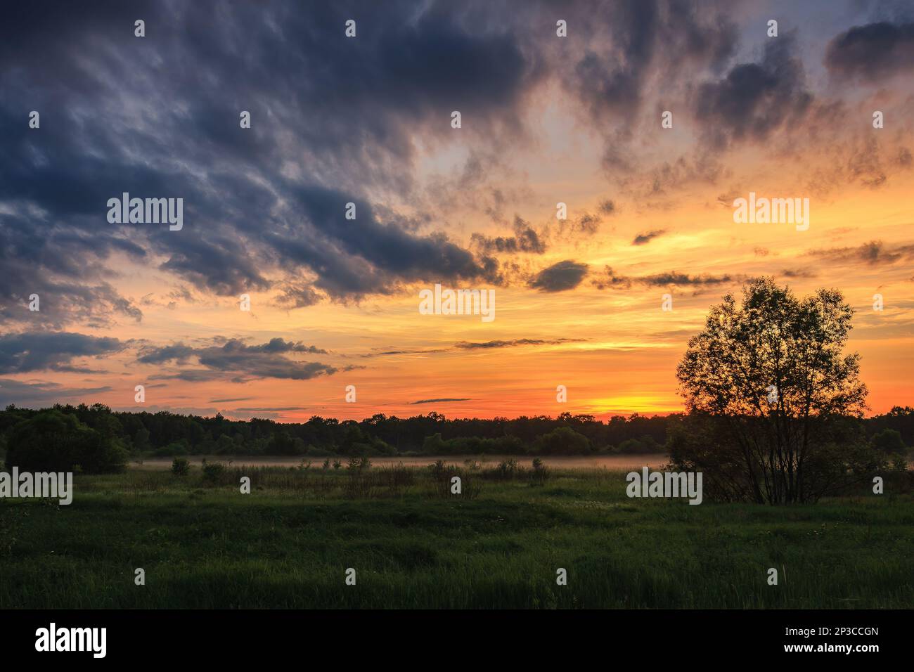 Sunrise over the trees hi-res stock photography and images - Alamy