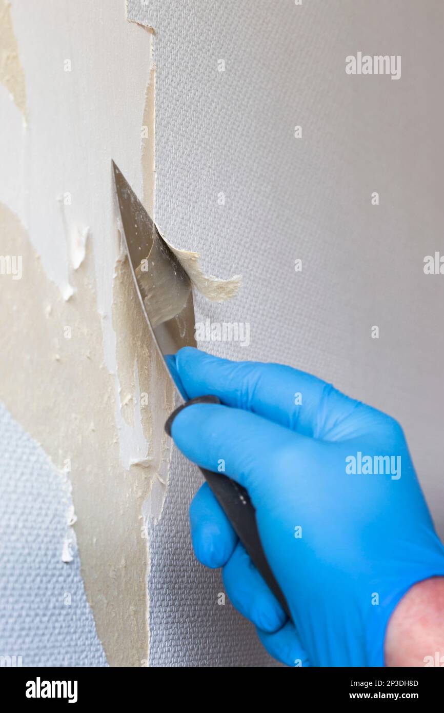 Person stripping wallpaper using a scraper hand tool. Do it yourself