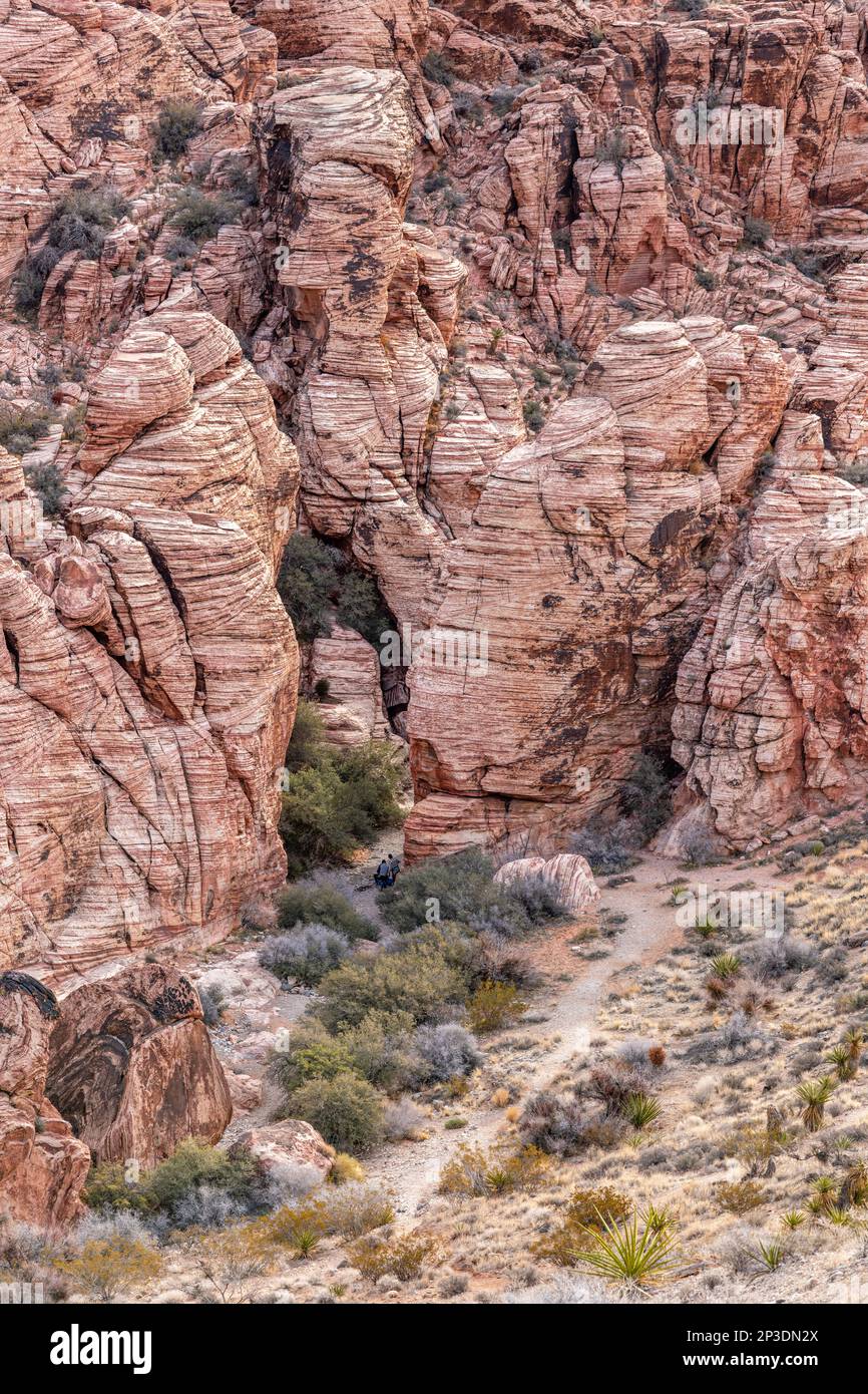 A beautiful, arid, rugged and mountainous scene in the wilderness of Red Rock Canyon in Las Vegas, Nevada, where families travel for adventure. Stock Photo