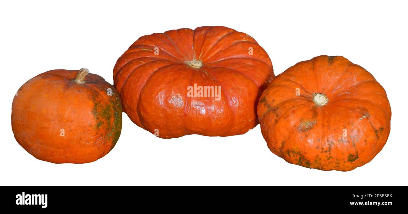 Three pumpkins isolated on a white background. Halloween concept Stock Photo