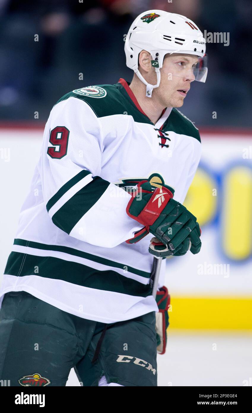 NHL profile photo on Minnesota Wild's Stephane Veilleux during a game  against the Calgary Flames in Calgary, Alberta on Feb. 18, 2015. (AP  Photo/Larry MacDougal Stock Photo - Alamy