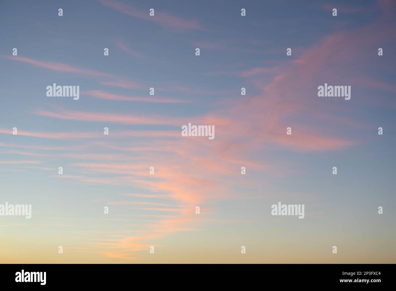 Pink cirrostratus clouds in the evening sky above the golden glow of the sunset. Stock Photo