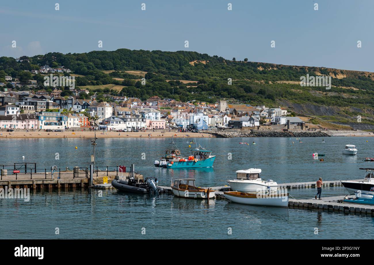 Moored boats in harbour in Summer, Lyme Regis, Dorset, England, UK Stock Photo