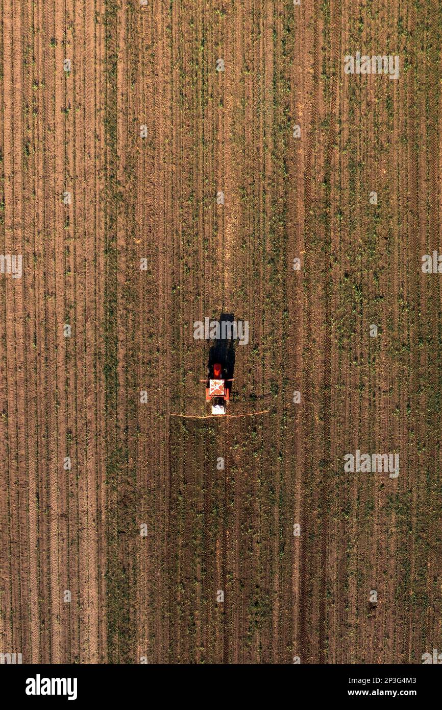 Aerial shot of agricultural tractor with crop sprayer attached spraying herbicide chemical over corn plantation, drone pov directly above Stock Photo