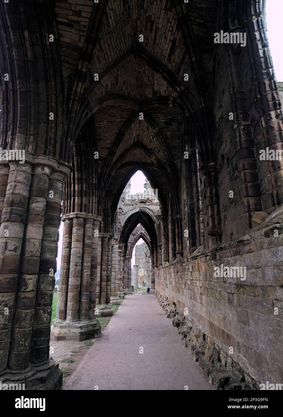 Whitby Abbey vaulted roof section in the aisle, Whitby, North Yorkshire Stock Photo