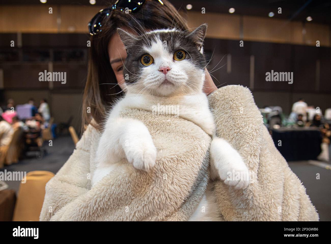 Bangkok, Thailand. 05th Mar, 2023. An owner holds her cat during the