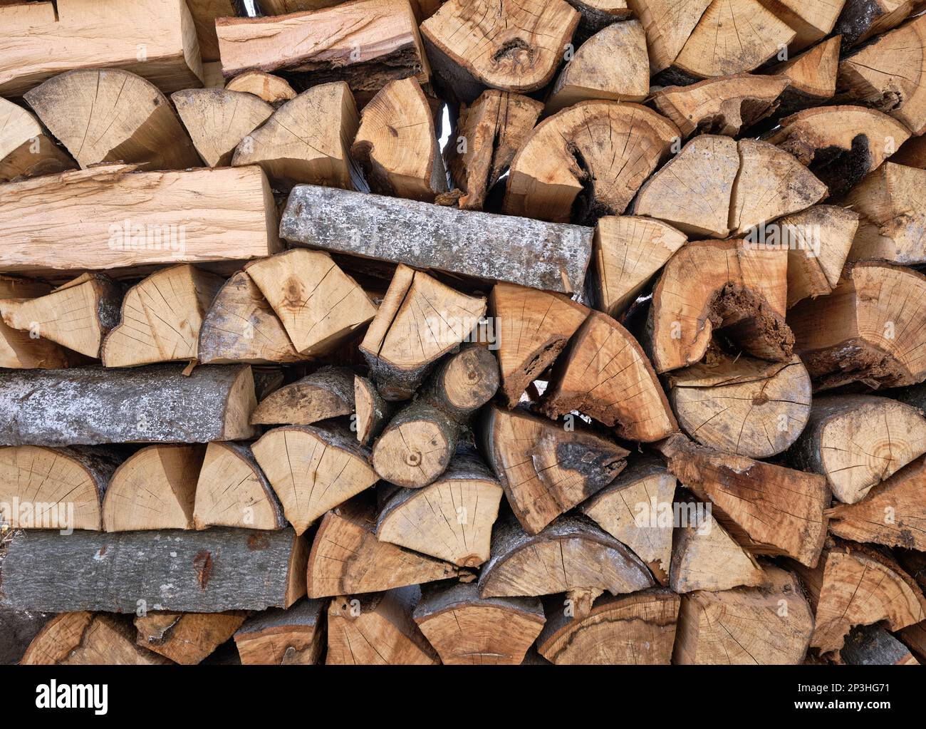 A stack of firewood of beech tree Stock Photo Alamy