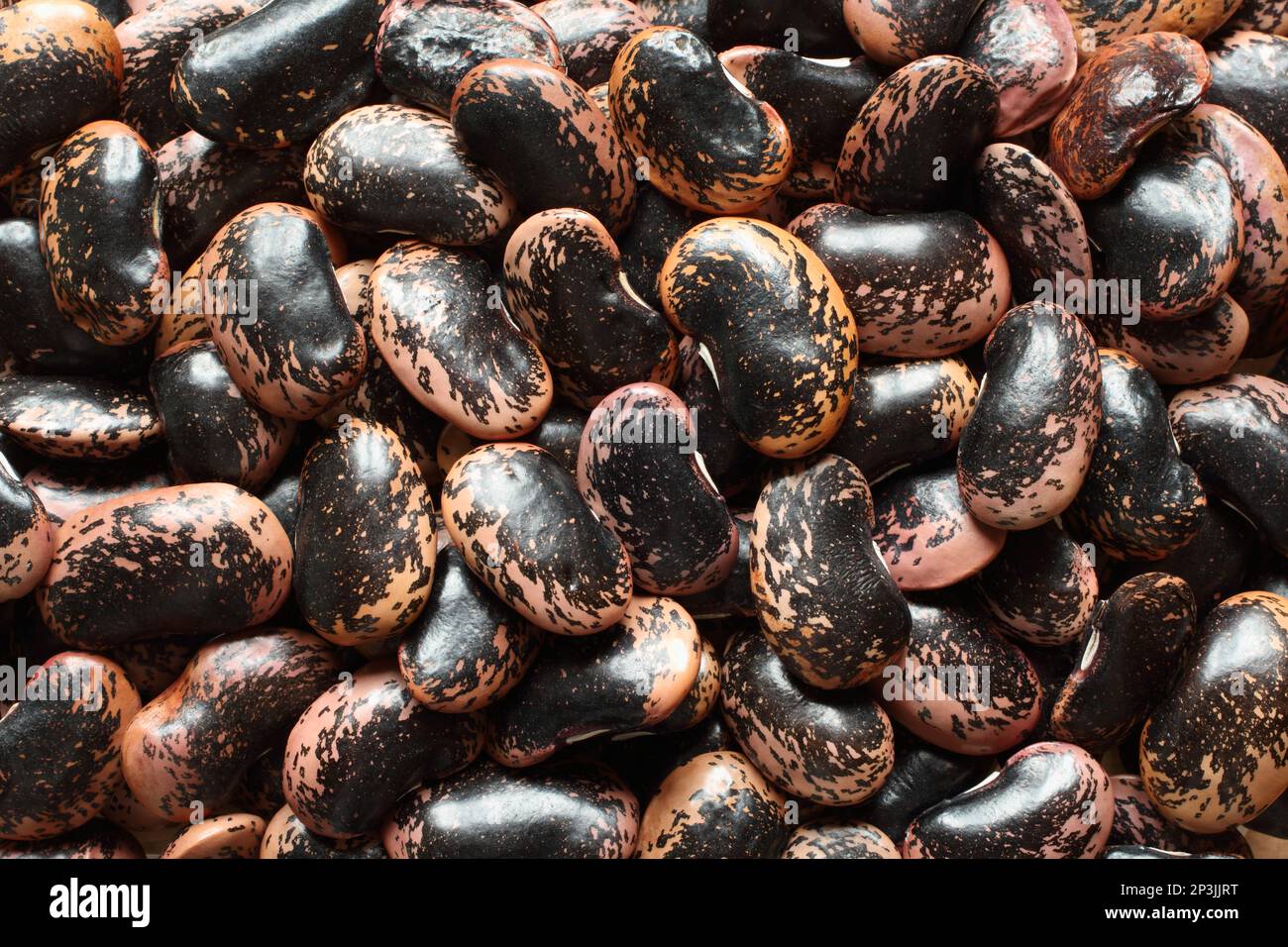 View from above on a pile of raw pink, beige with brown speckled kidney beans. Closeup Stock Photo