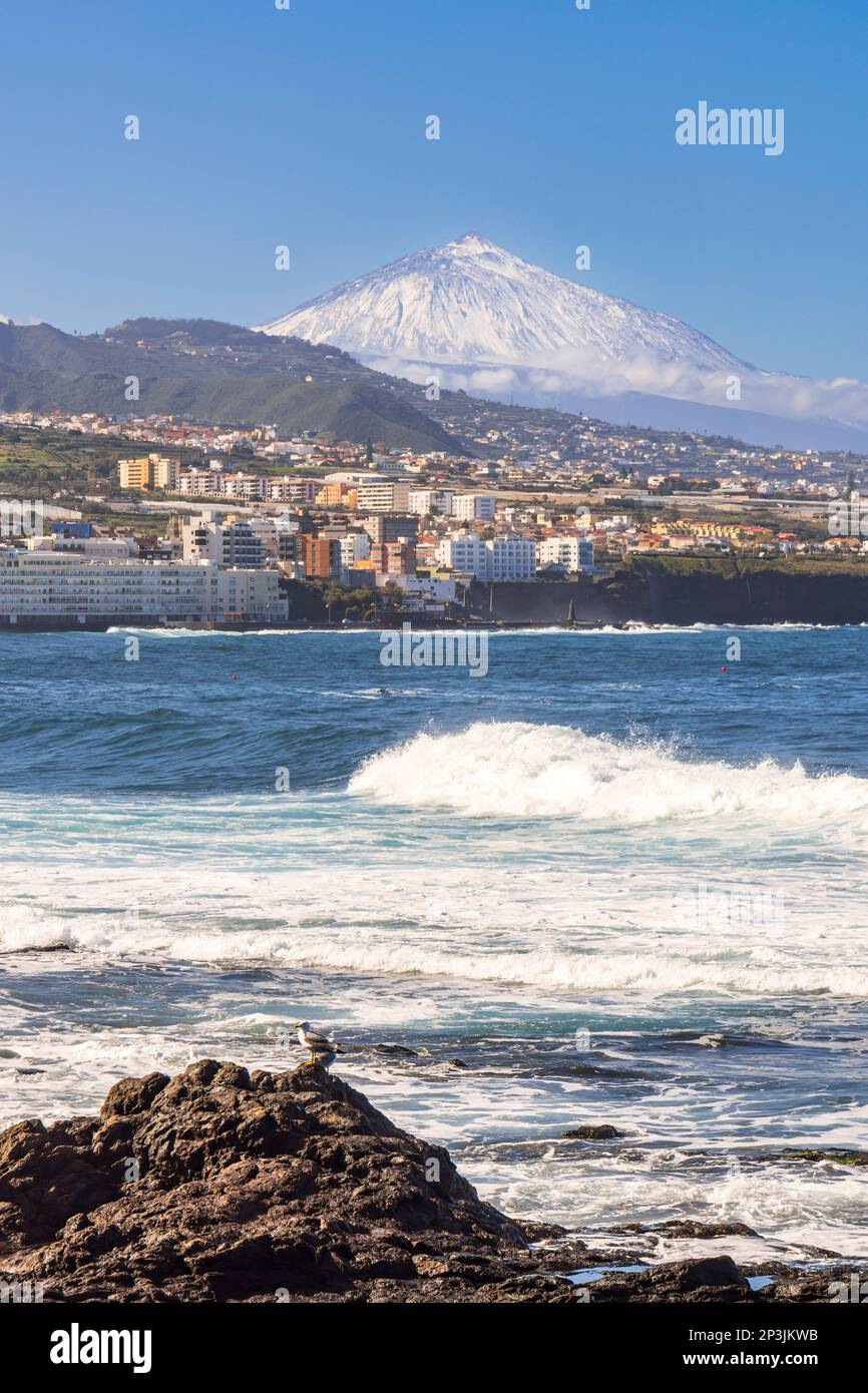 Coast of Punta del Hidalgo in Tenerife with the coastal town of Bajamar and Mount Teide in the background. Stock Photo
