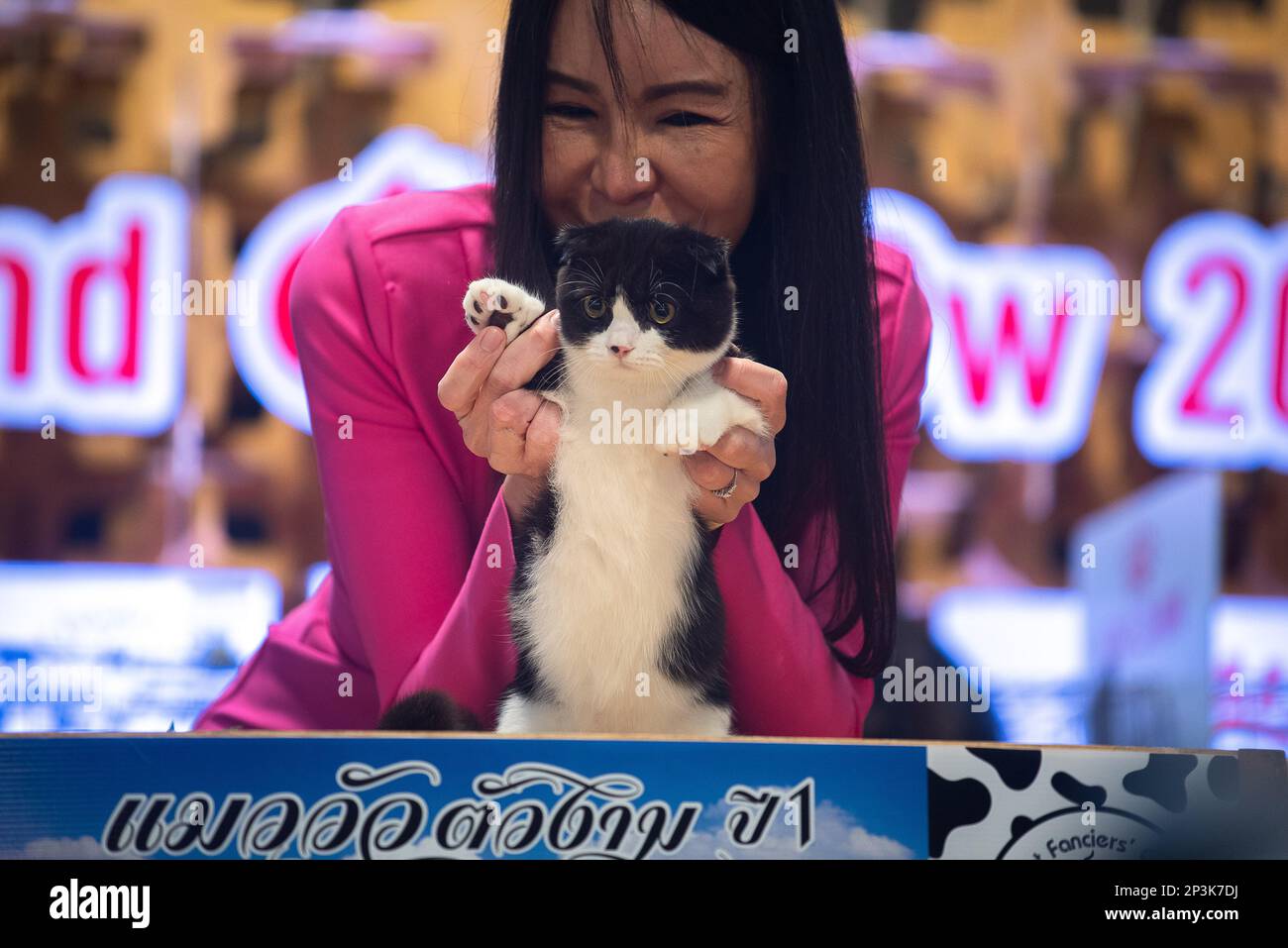 A judge shows off one of the "Cat Who Look Like Cows" competitors