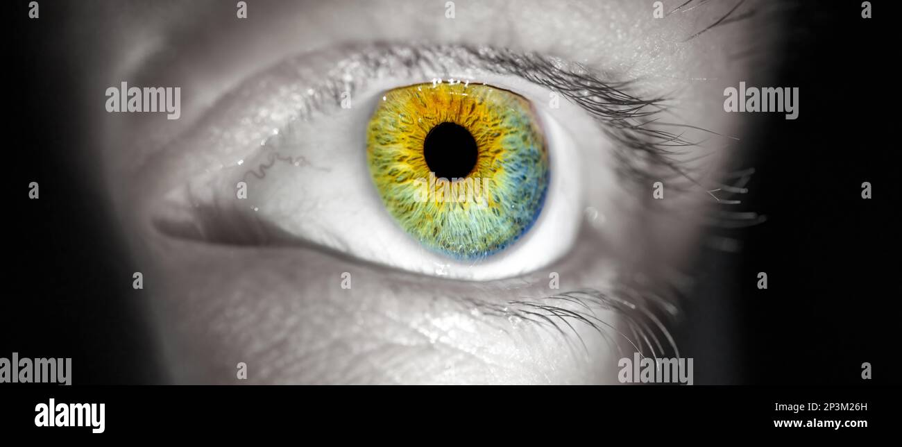 Detail of a surprised human eye, visible iris, man, colours, flash Stock Photo