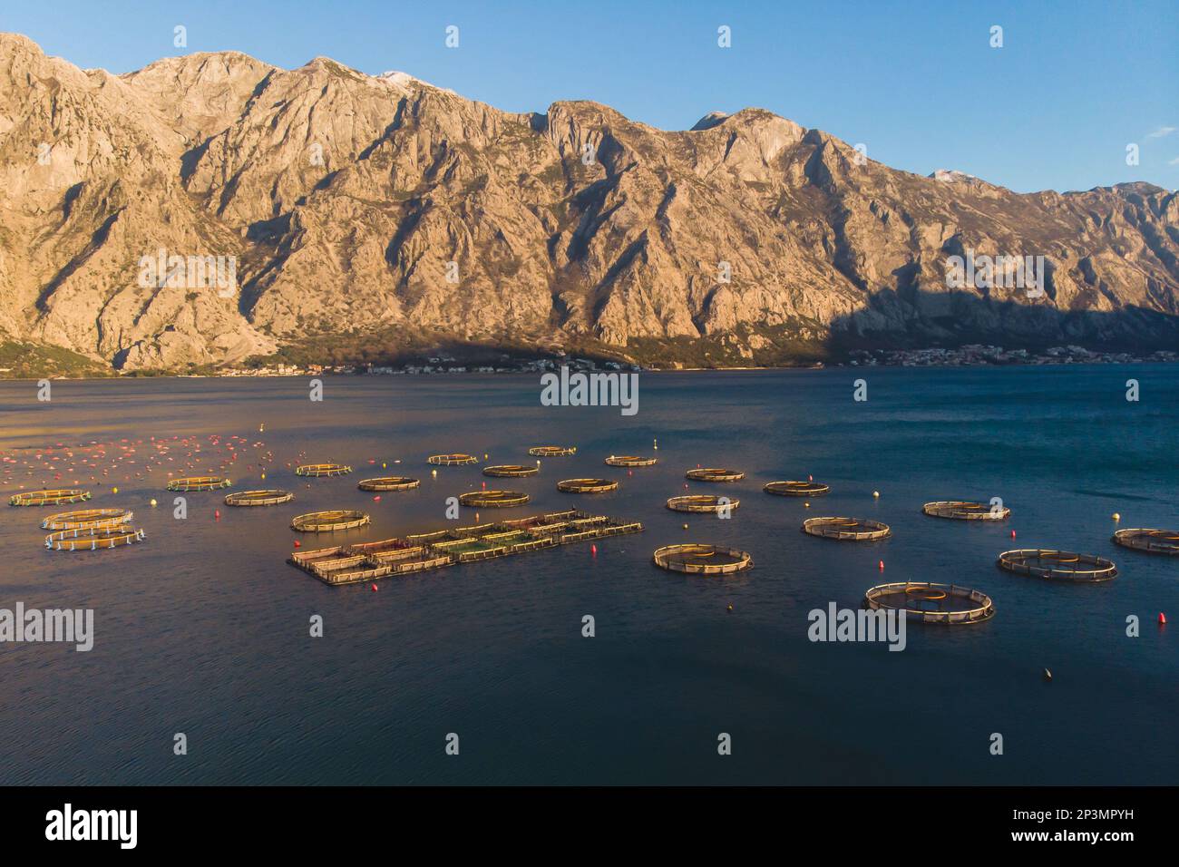 Aerial drone top view of sea fish farm cages and fishing nets, farming ...