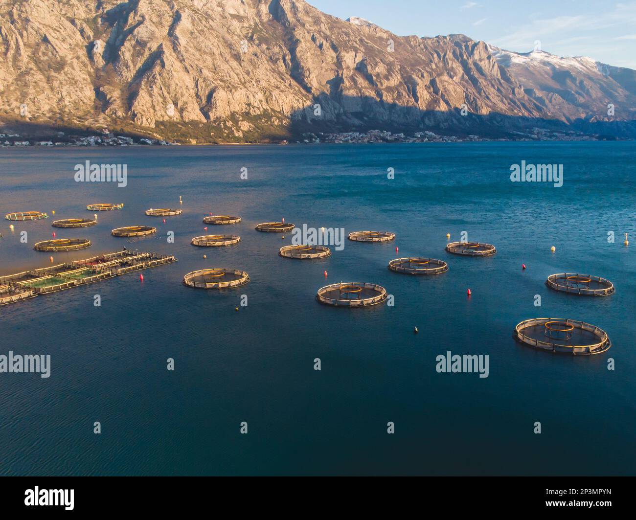 Aerial Drone Top View Of Sea Fish Farm Cages And Fishing Nets Farming 