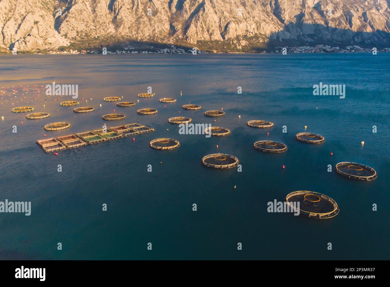 Aerial Drone Top View Of Sea Fish Farm Cages And Fishing Nets Farming 