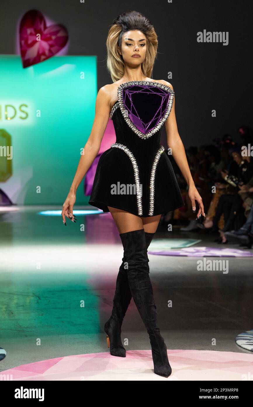 NEW YORK, NEW YORK - FEBRUARY 15: A model walks the runway wearing The Blonds Fall 23 Collection during New York Fashion Week: The Shows at The Galler Stock Photo