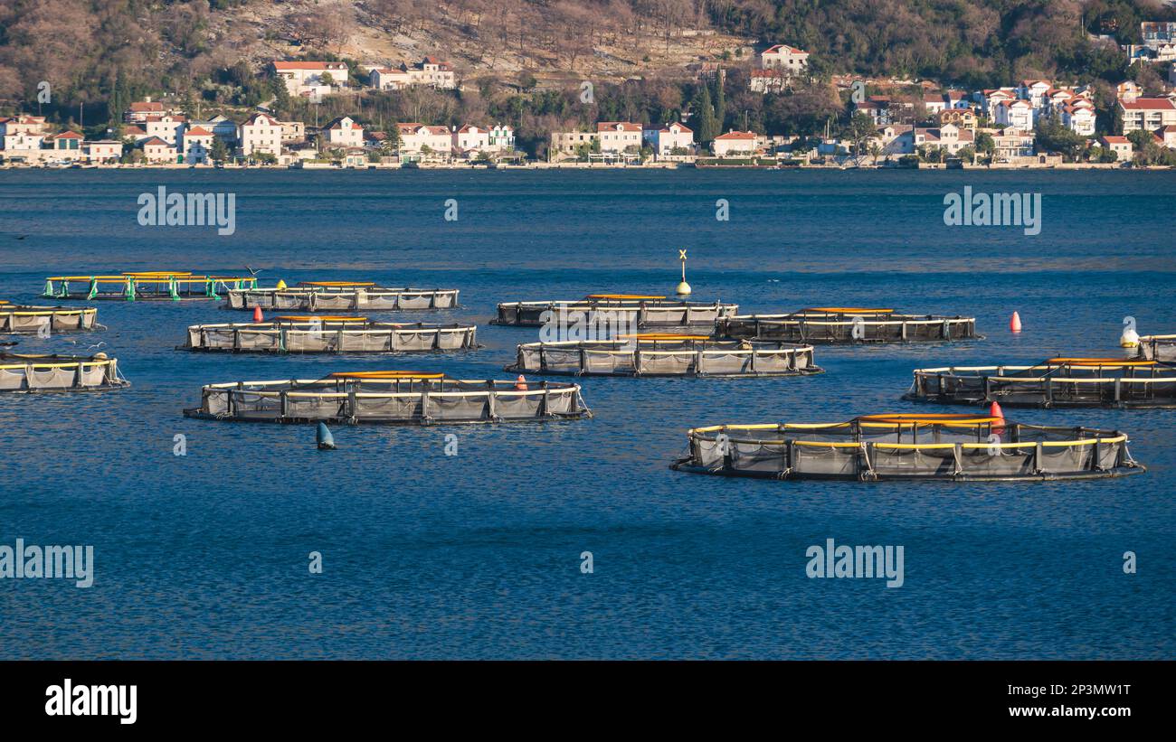 Fish farm greece hi-res stock photography and images - Page 6 - Alamy