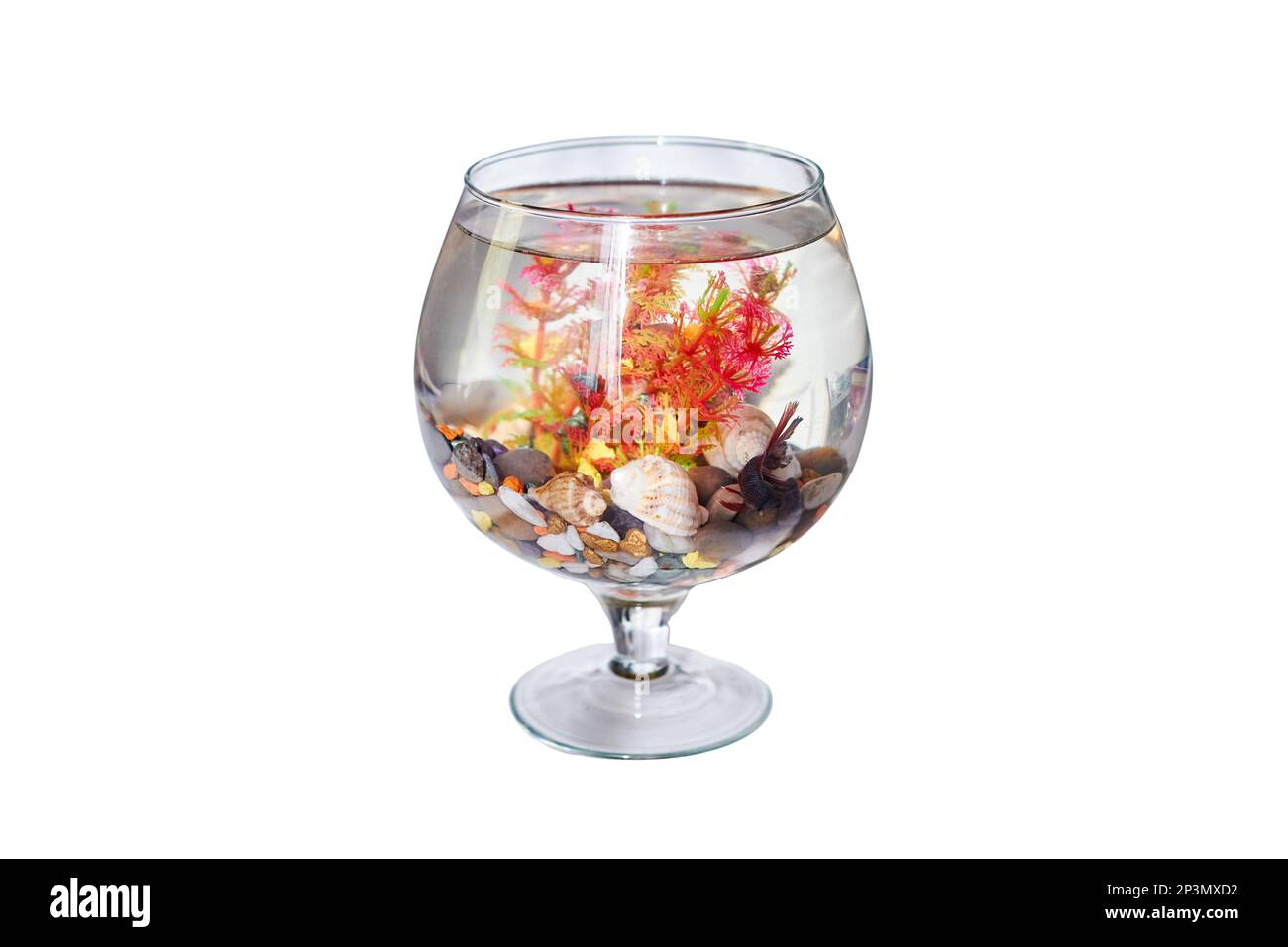 Wine hotsell glass aquarium