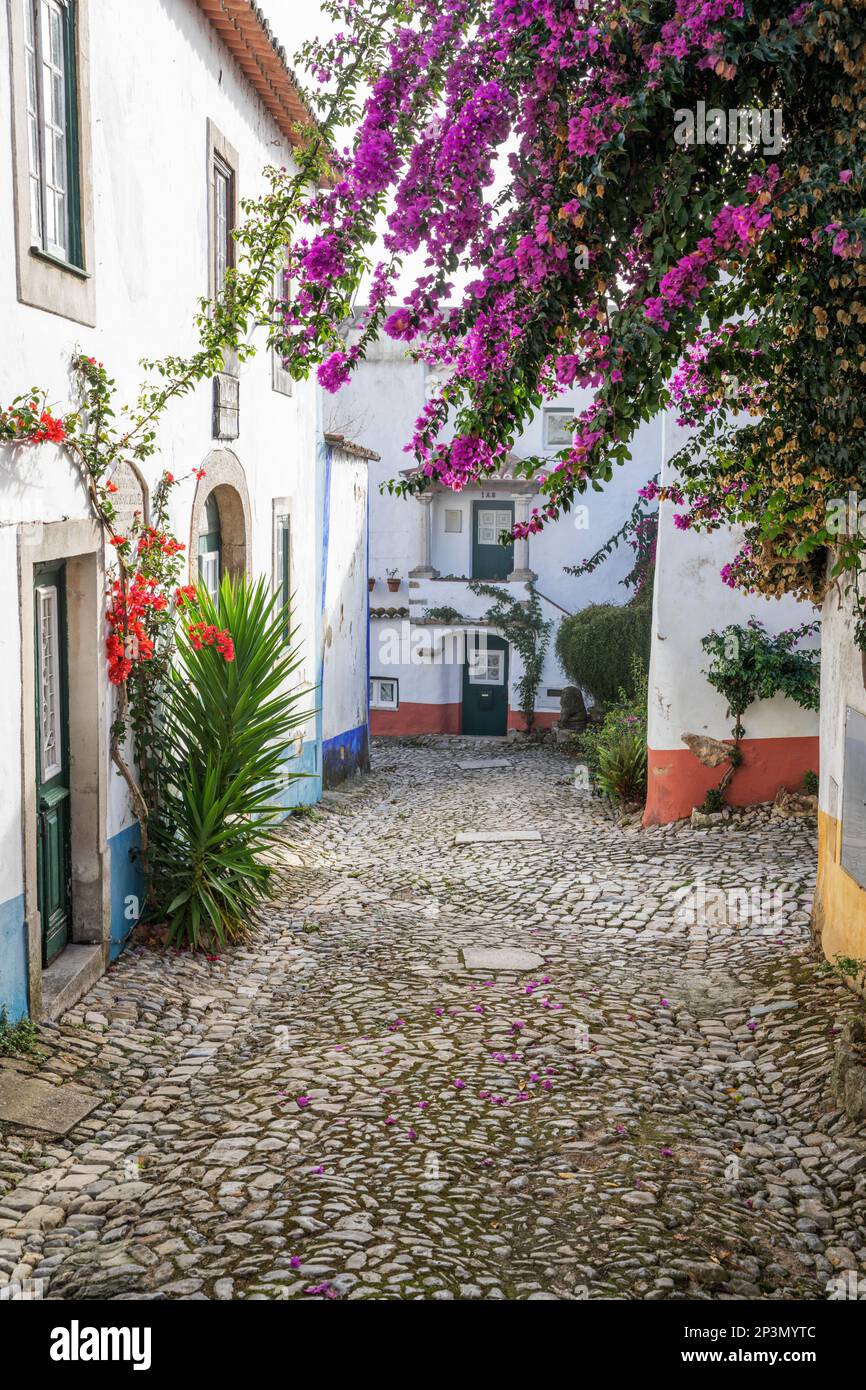 Cobbled street in the old town, Obidos, Central Region, Portugal, Europe Stock Photo