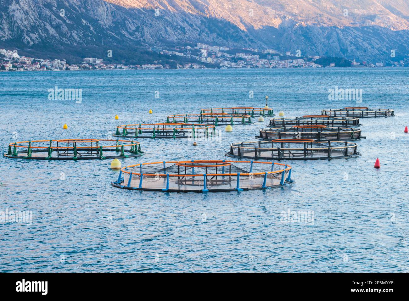 View of sea fish farm cages and fishing nets, farming dorado, sea bream