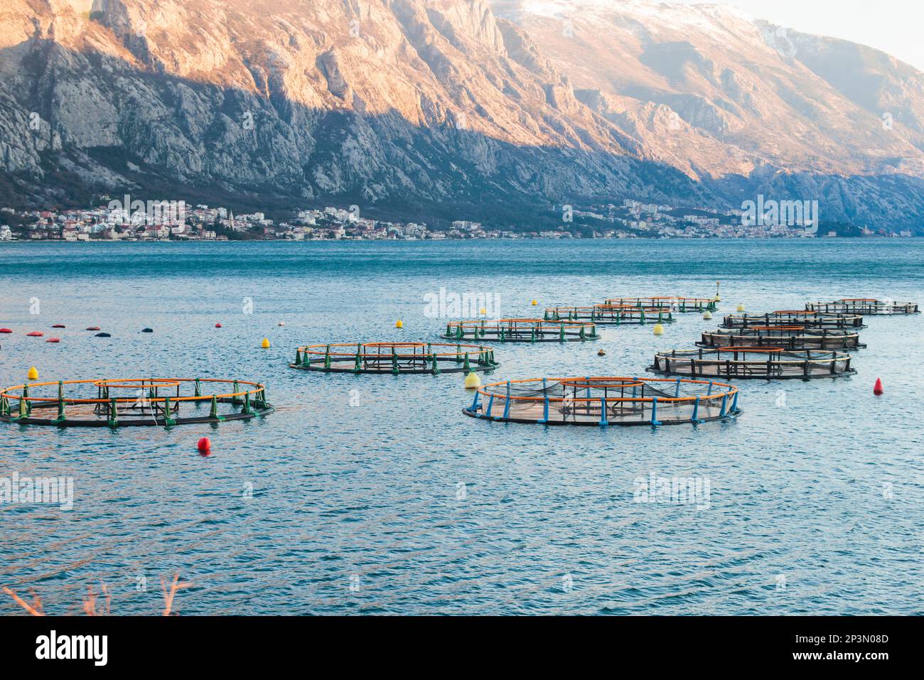 View Of Sea Fish Farm Cages And Fishing Nets Farming Dorado Sea Bream 