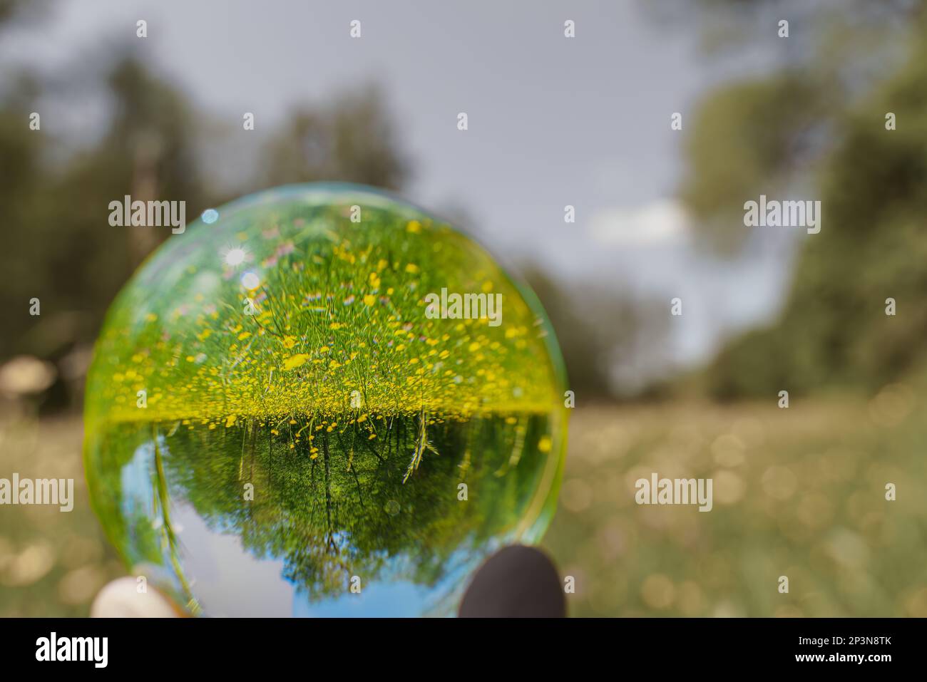 A flower meadow in spring through a fish-eye lens Germany seen through a floating crystal ball Stock Photo