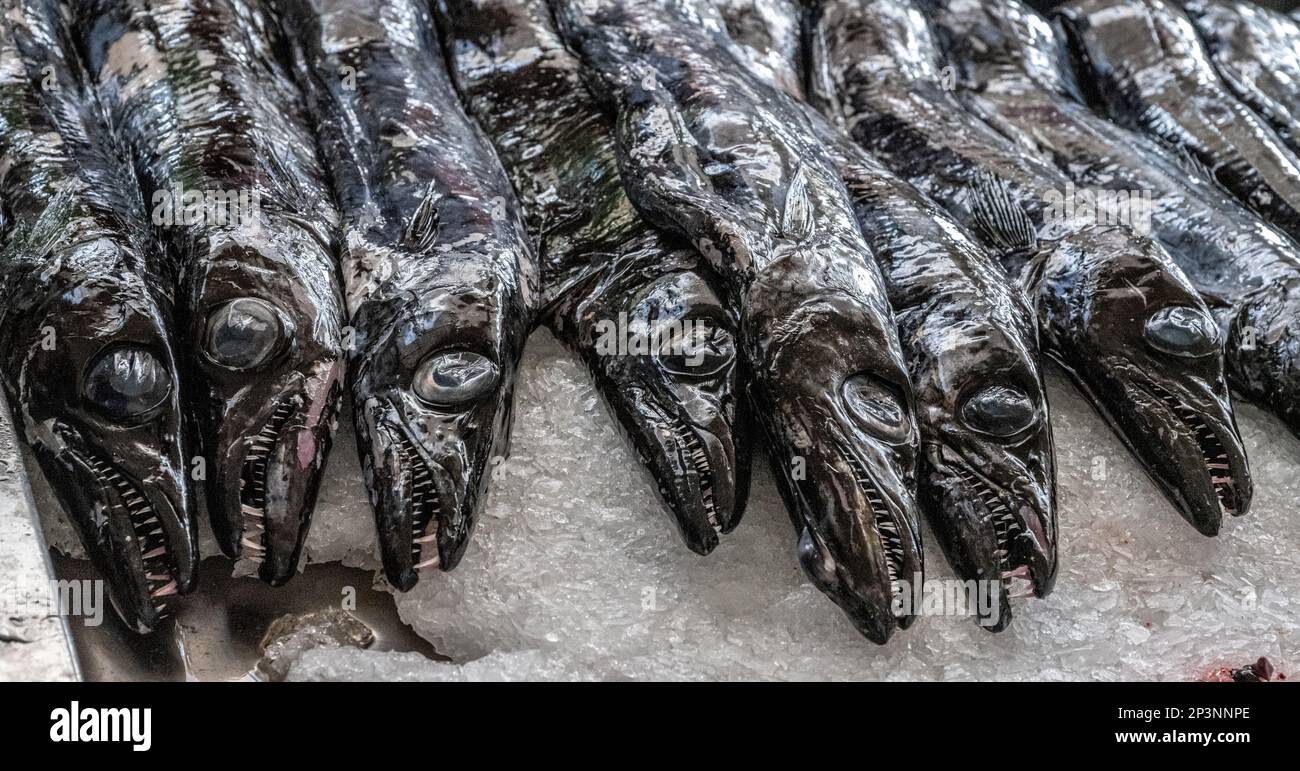 Espada (black scabard fish) being prepared in the fish market, Funchal, Madeira Stock Photo