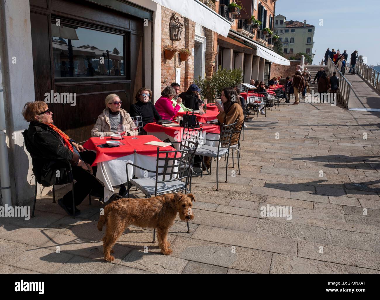 People and a dog enjoy the warmth of the spring sunshine at a canal side cafe on the Fondamenta Zattere Al Gesuiti, Venice, Italy. Stock Photo