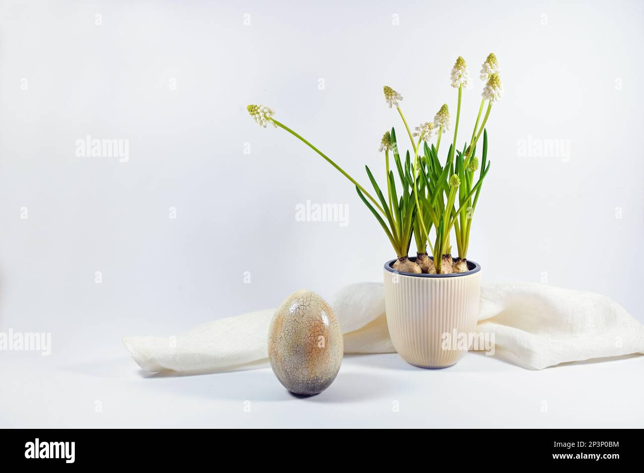 Easter egg with beige brown craquelure surface and a ceramic flowerpot with white grape hyacinths against a light gray background, home decoration and Stock Photo