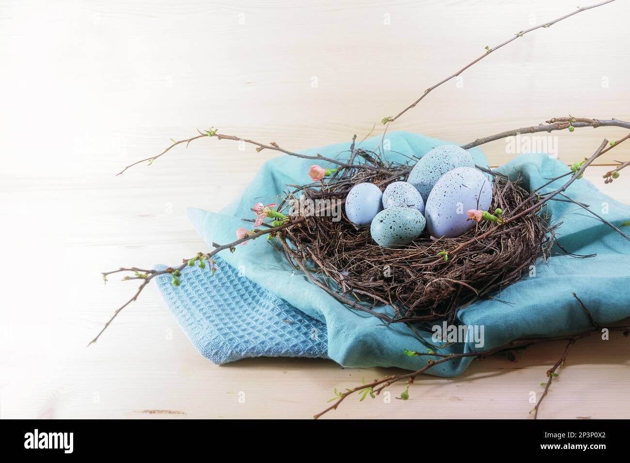 Blue and turquoise Easter eggs in a nest from twigs and quince branches with some flowers on cloth and a light wooden background, copy space, selected Stock Photo
