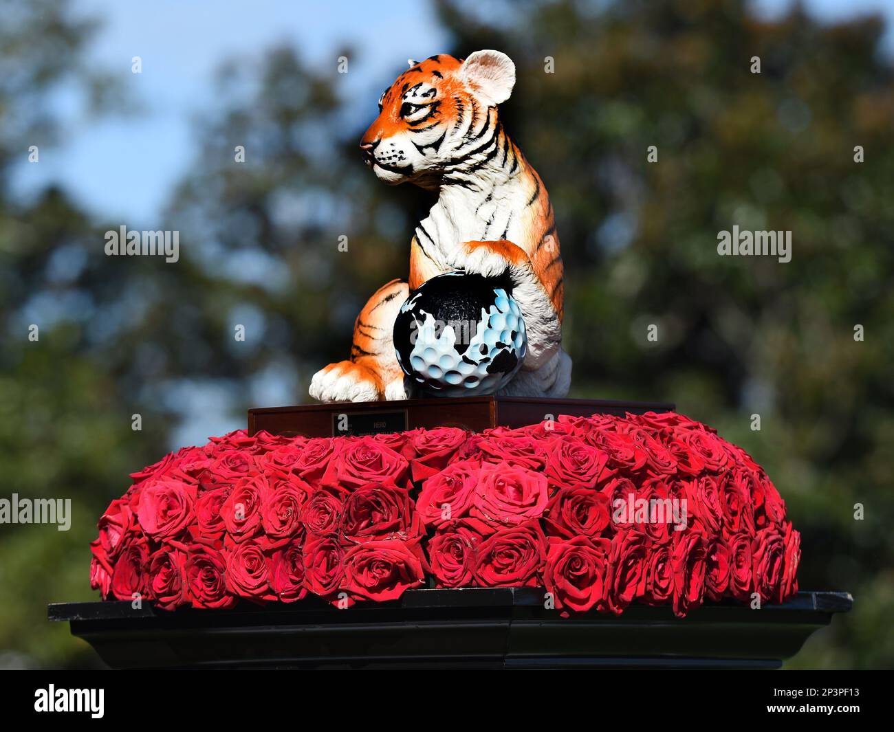 The winner's trophy is on display at Isleworth Golf & Country Club during 3rd-round play in the Hero World Challenge Golf tournament December 6, 2014 in Windermere, Florida. (AP Photo / Al Messerschmidt) Stock Photo