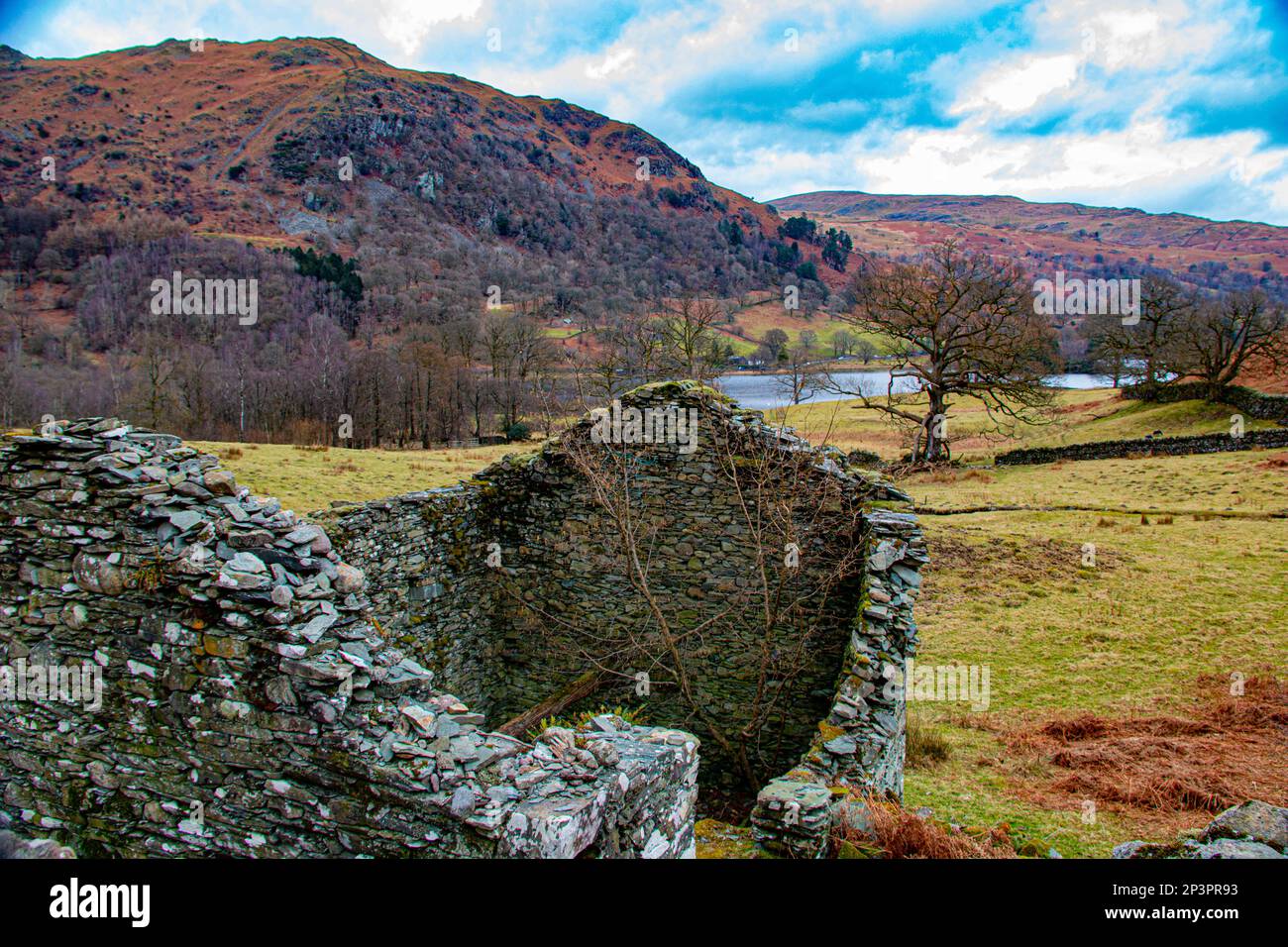 Abandoned barn in the Rydal Valley, overlooking Rydal Water & the River Rothay, Rydal, Cumbria, United Kingdom Stock Photo