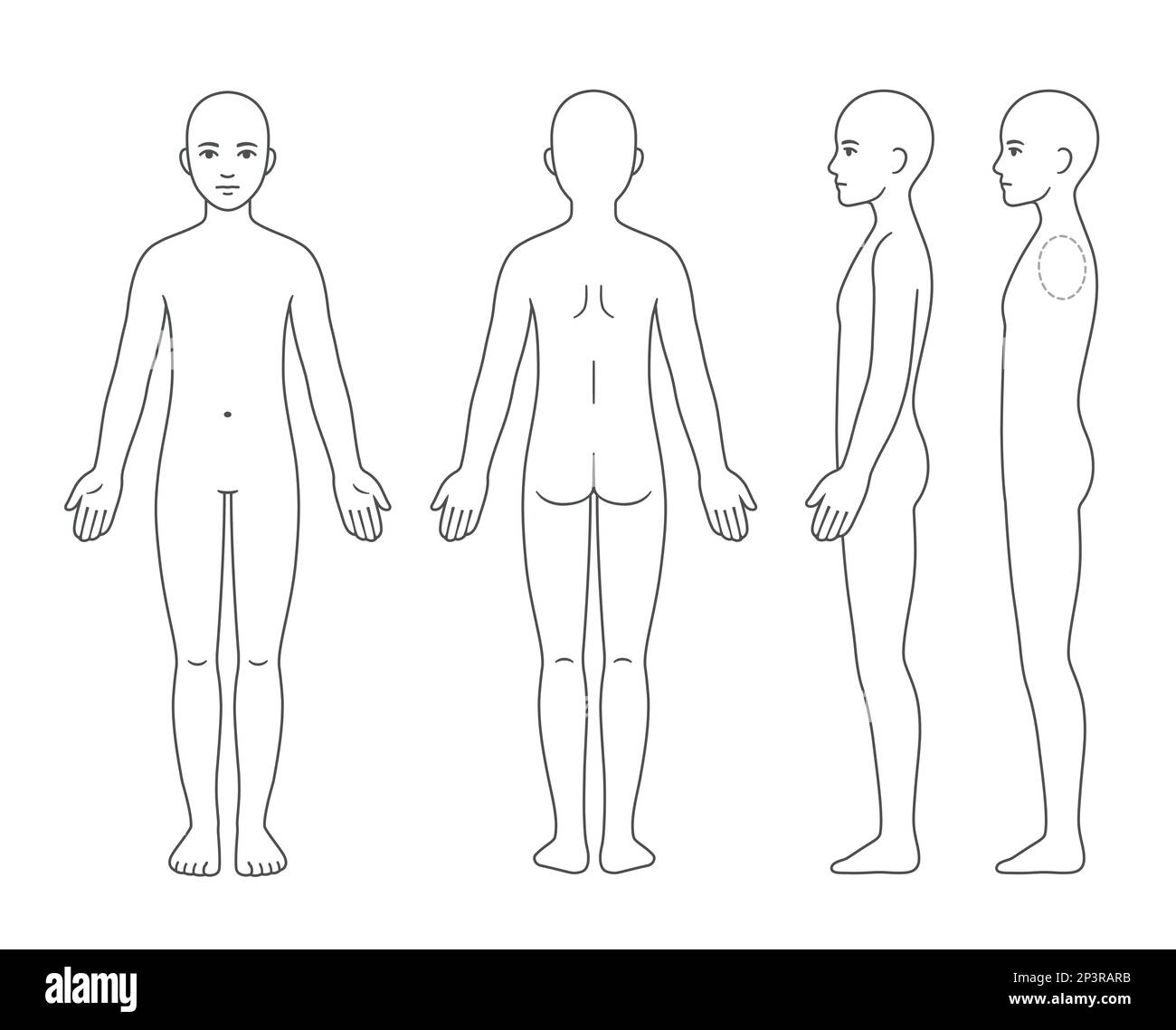 Unisex body anatomy chart, naked young person of undefined gender