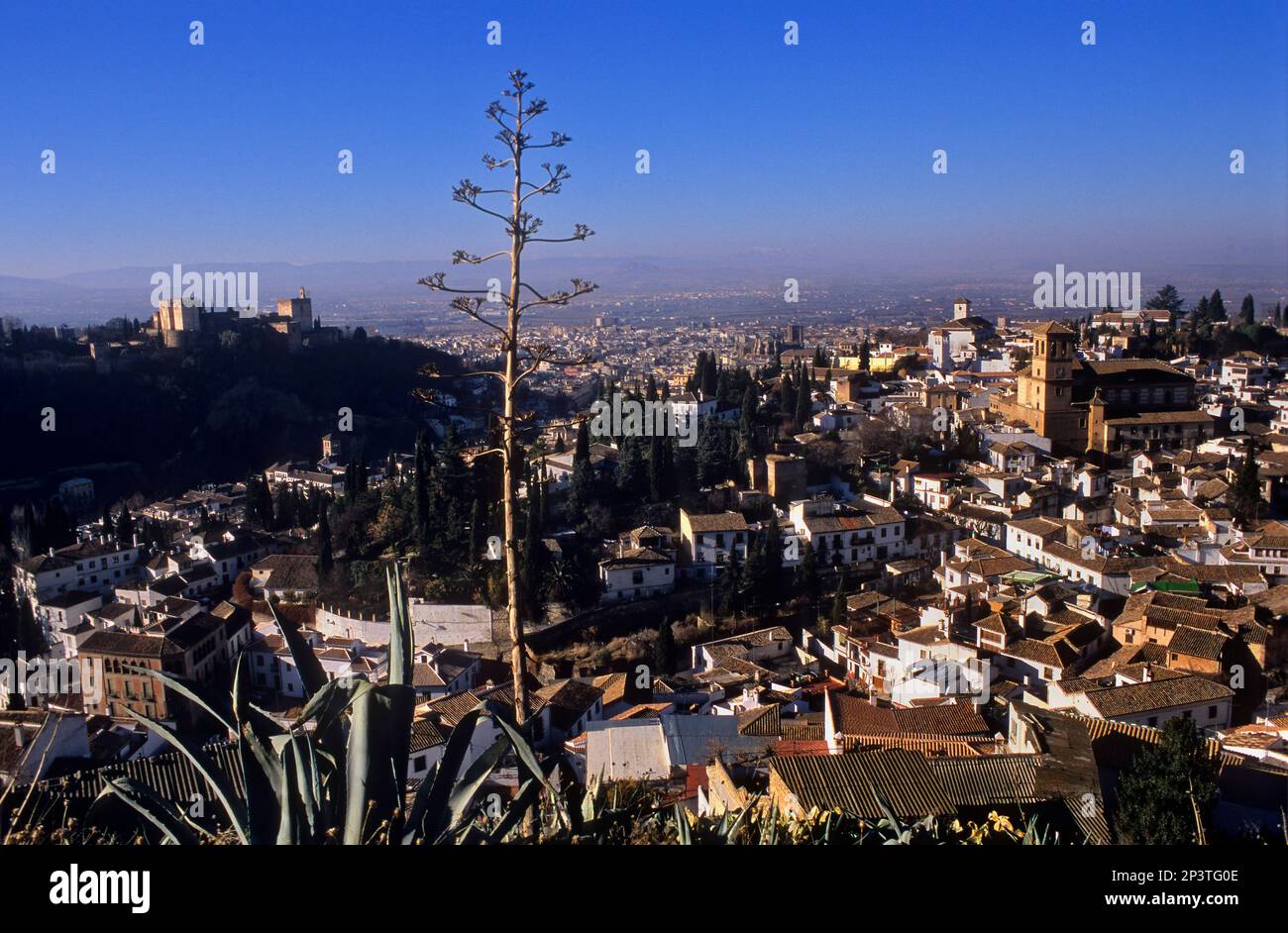 City view. Alhambra and Albaicín quarter(At right Iglesia del Salvador and in background San Nicolás Church). Granada, Andalucia, Spain Stock Photo