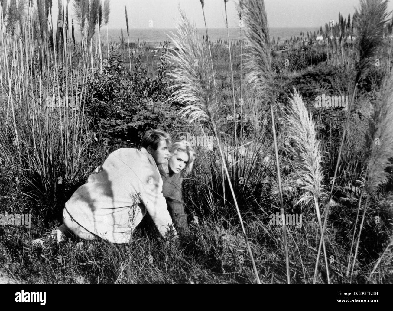 Troy Donahue, Joey Heatherton, onset of the Film,