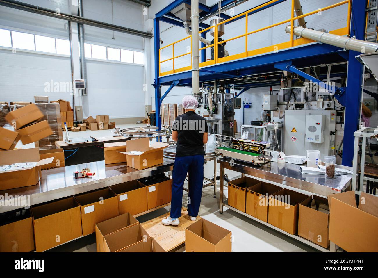 Worker packing coffee packages into cardboard boxes. Stock Photo