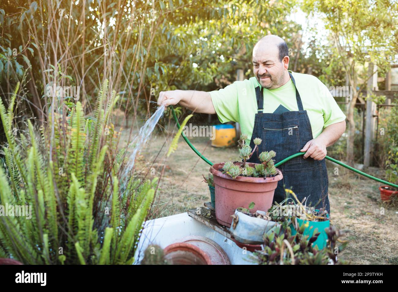Portrait of a late middle age latin farmer man watering potted plants in his backyard organic garden Stock Photo