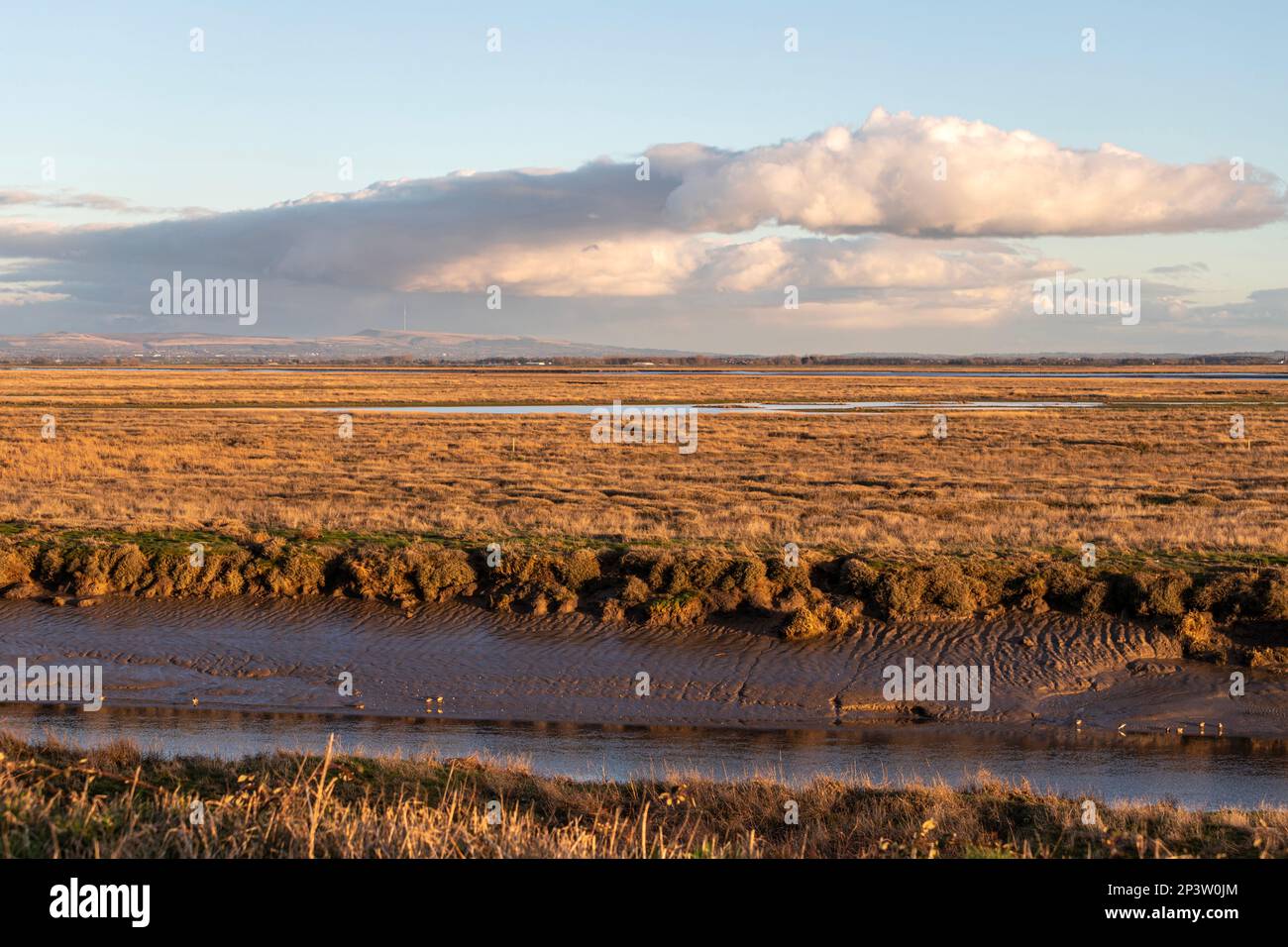 Salt marsh on the Ribble estuary, Lytham St Annes, Fylde in Lancashire, England. Stock Photo