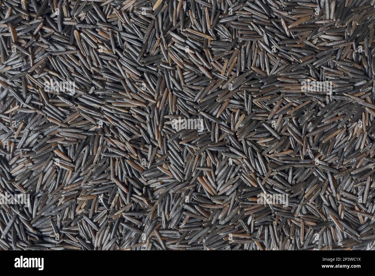 Wild rice, California grown, in full frame close up Stock Photo - Alamy